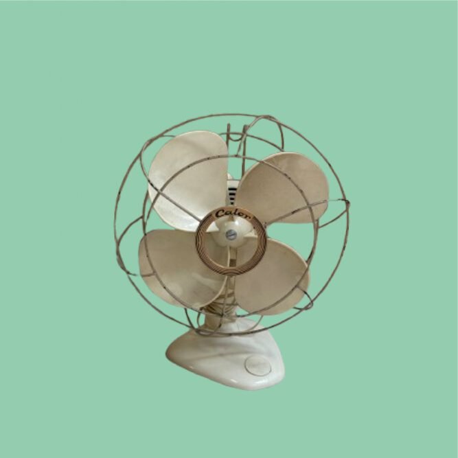 Ventilateur Calor